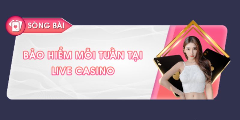 Bảo hiểm mỗi tuần tại sảnh cược Live Casino PQ88